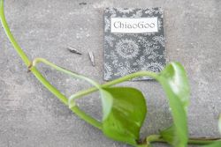 Chiaogoo kabeladapter