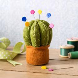Corinne Lapierre - Cactus Pincushion - kit för en nåldyna i filtsömnad