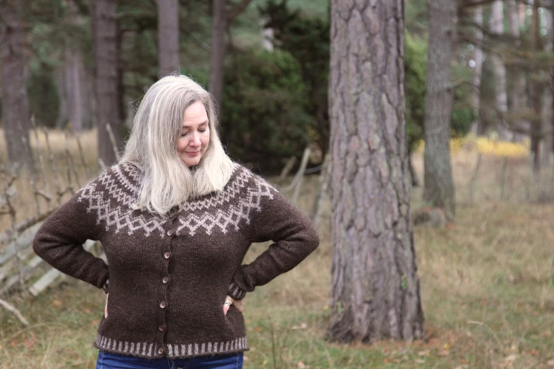 Järbo stickmönster - Sjön - islandskofta med mönsterstickat ok