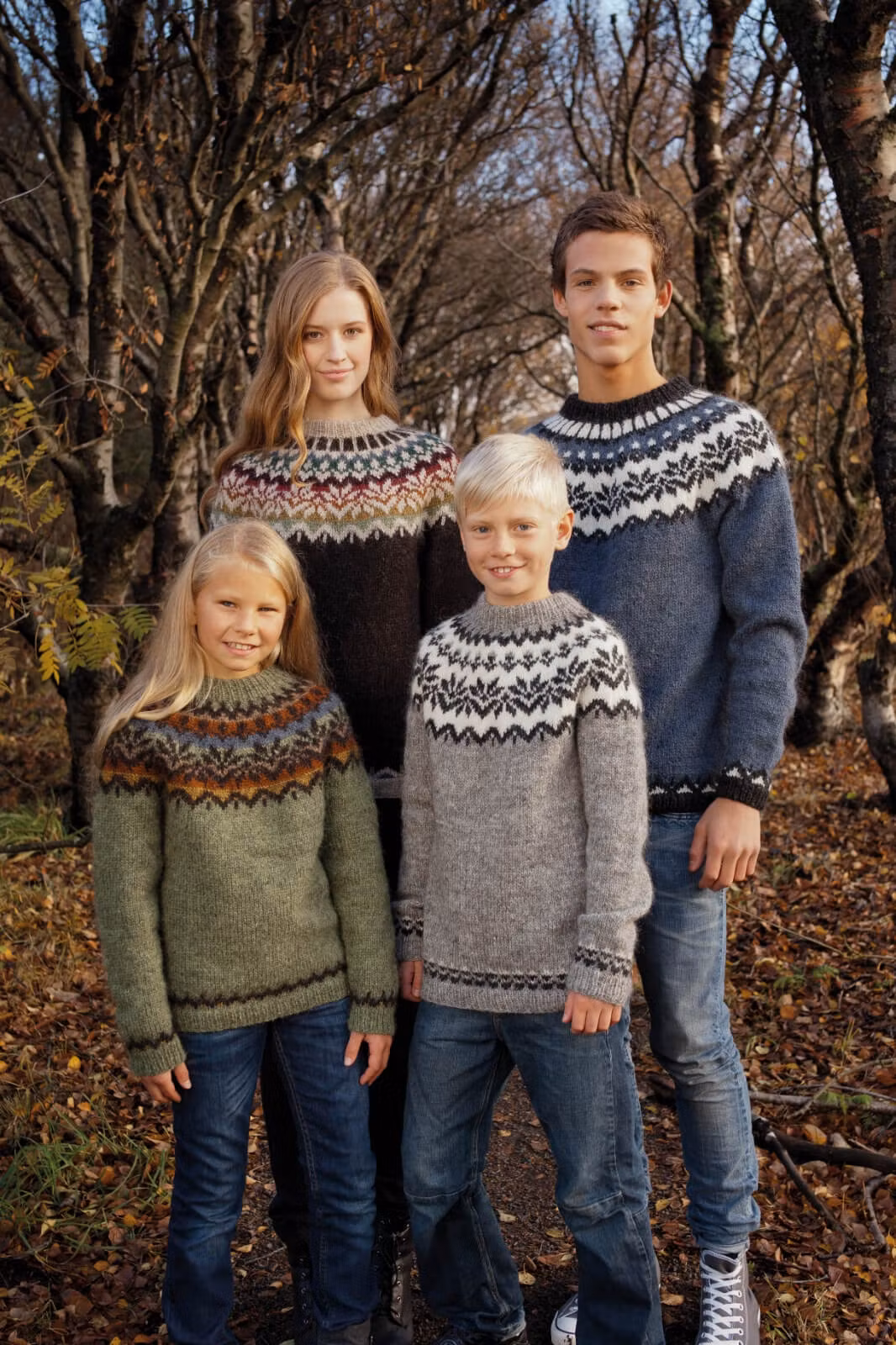 Järbo stickmönster - Afmaeli - islandströja