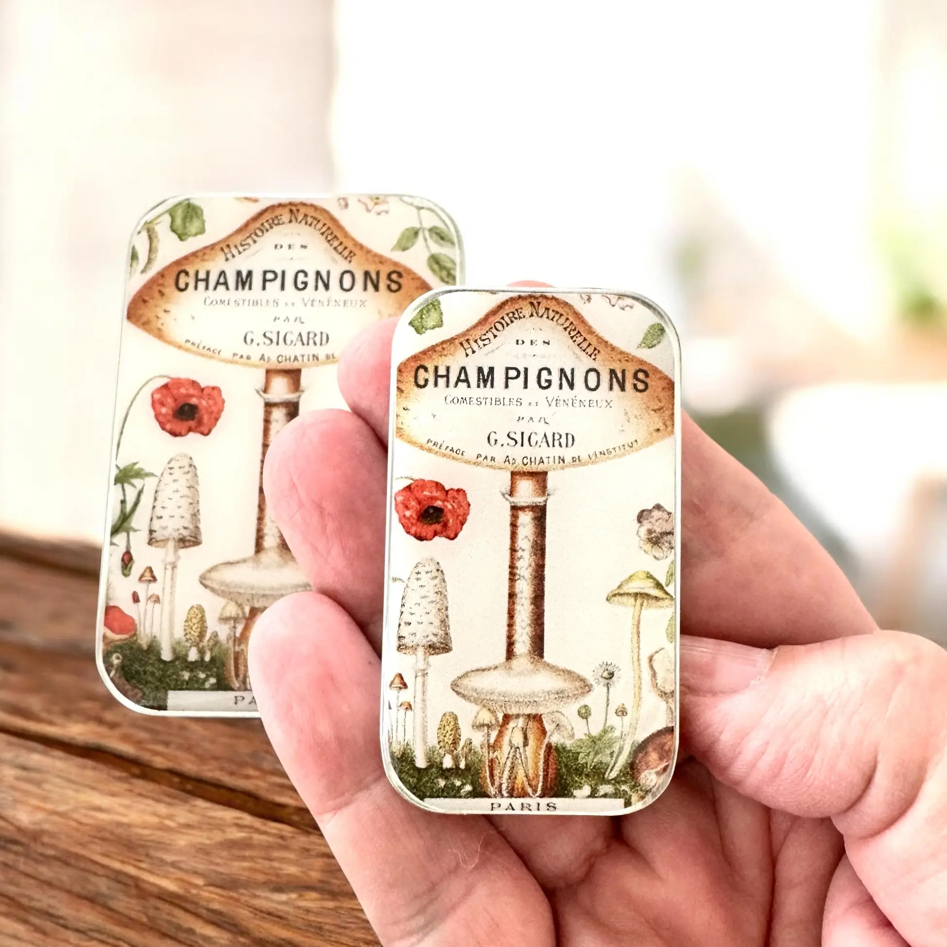 Firefly Notes Vinted mushroom notions tin - Metallask med svampar