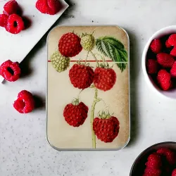 Firefly Notes Raspberry notions tin - Metallask med hallon