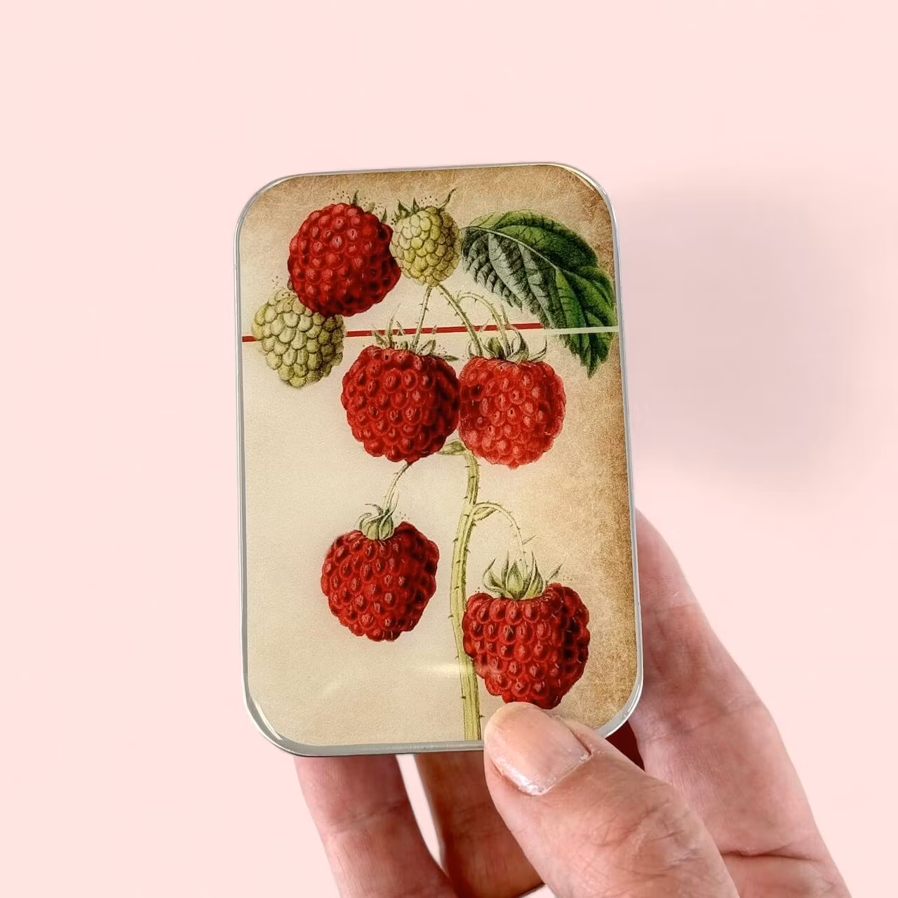 Firefly Notes Raspberry notions tin - Metallask med hallon