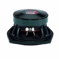 B&C Speakers 6PS38–16