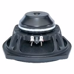 B&C Speakers 6NDL38-4