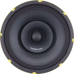 Ground Zero GZCM 10.0SPL