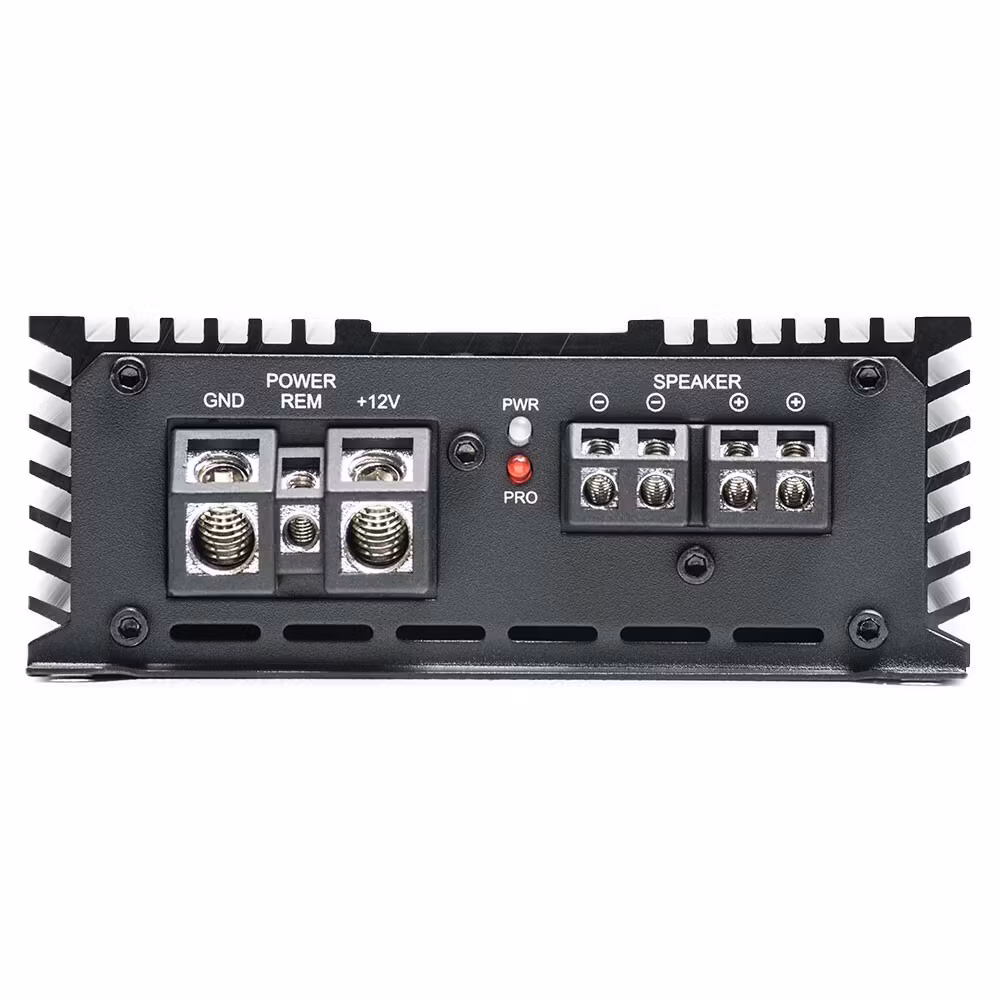 DD Audio DM1000a