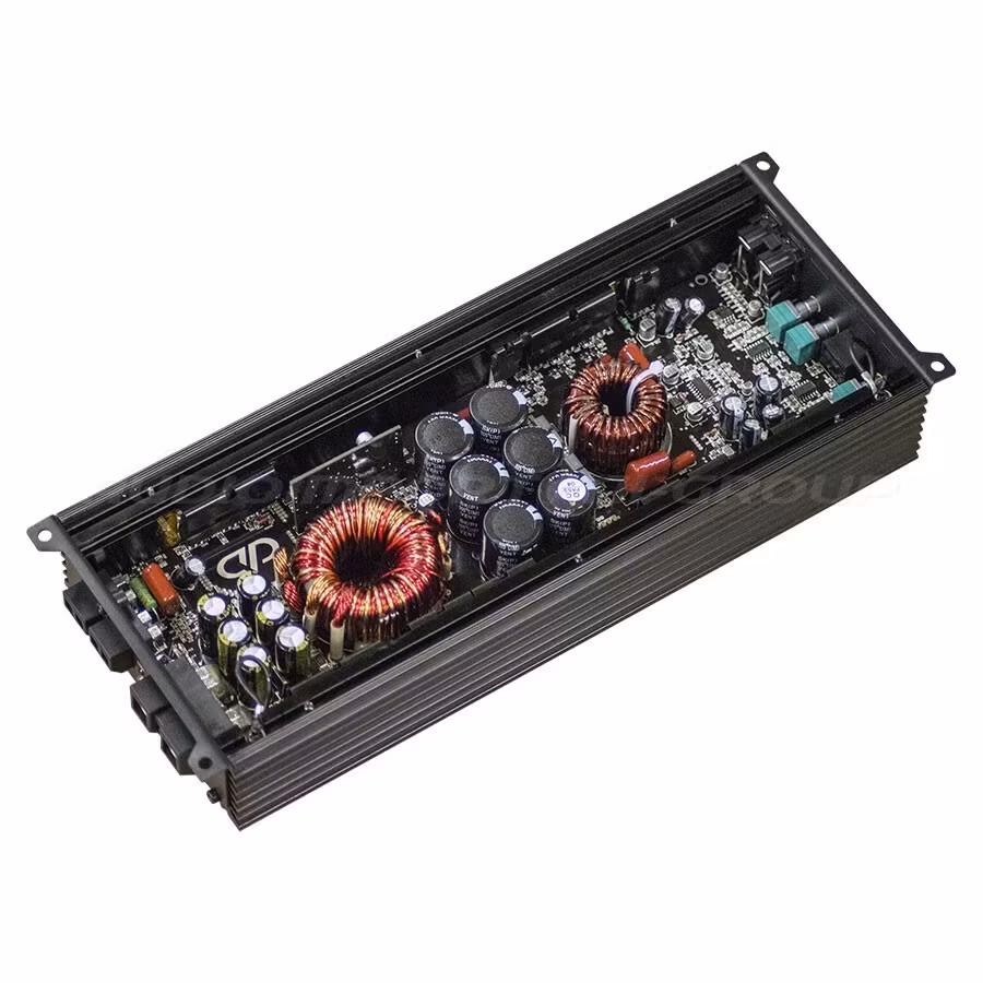 DD Audio DM1000a