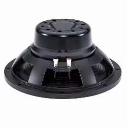 B&C Speakers 12NW100-8