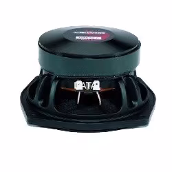 B&C Speakers 6PS38–8