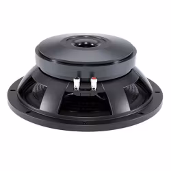 B&C 12PS100 - 8ohm