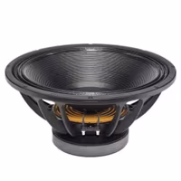 B&C 18TBW100 - 4ohm