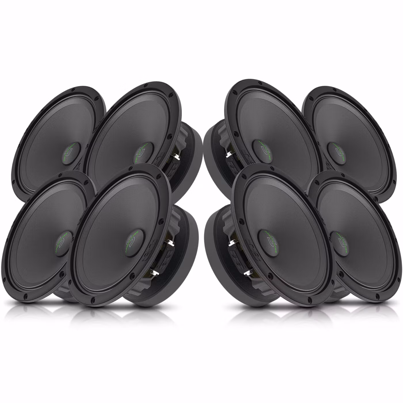 Deaf Bonce Sylvester 8 - 8pack