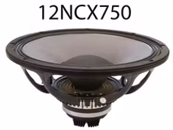 Eighteen Sound 12NCX750-8+8