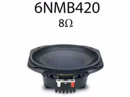 Eighteen Sound 6NMB420-8