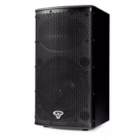 Cerwin - Vega P1000X