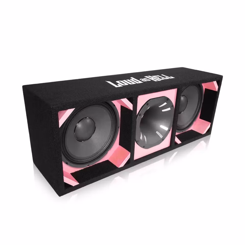 2x10" PA10/4 Pro låda med Inferno Horn (Rosa)