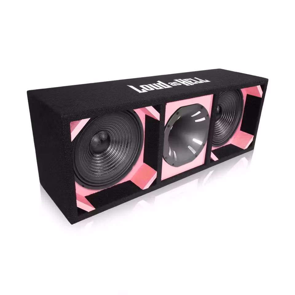 2x10" CW1001/8 Pro låda med Inferno Horn (Rosa)