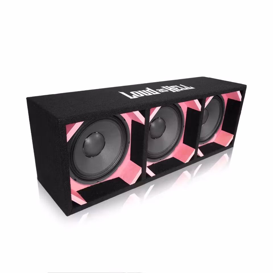 3x10" PA10/4 Kick låda (Rosa)