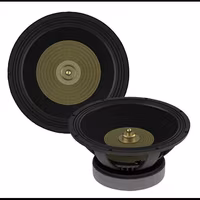 Cerwin - Vega STROKER PRO CLASSIC 15