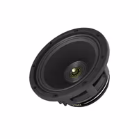 Cerwin - Vega Stroker PRO 10"