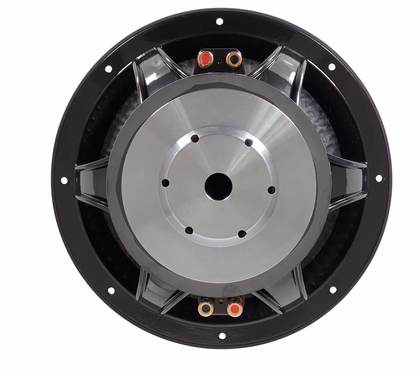Xcelsus XAS 12"