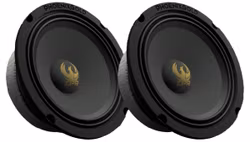Phoenix Gold ZPR84