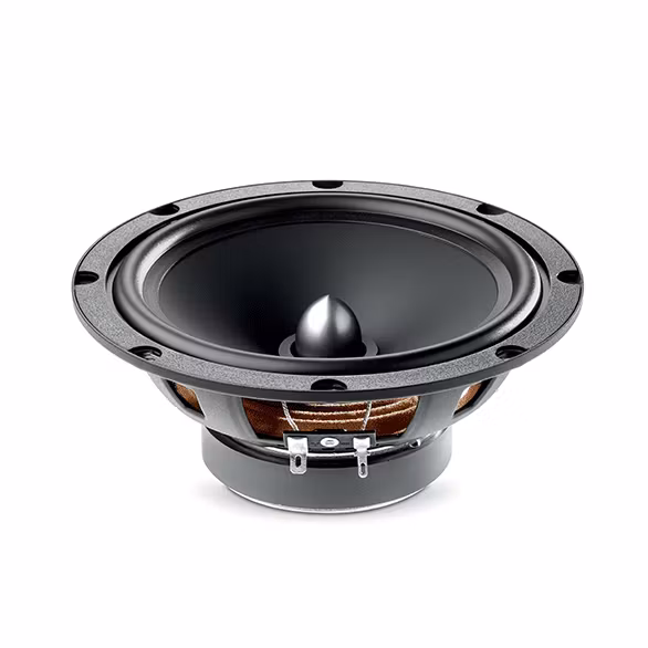 Focal ASE165