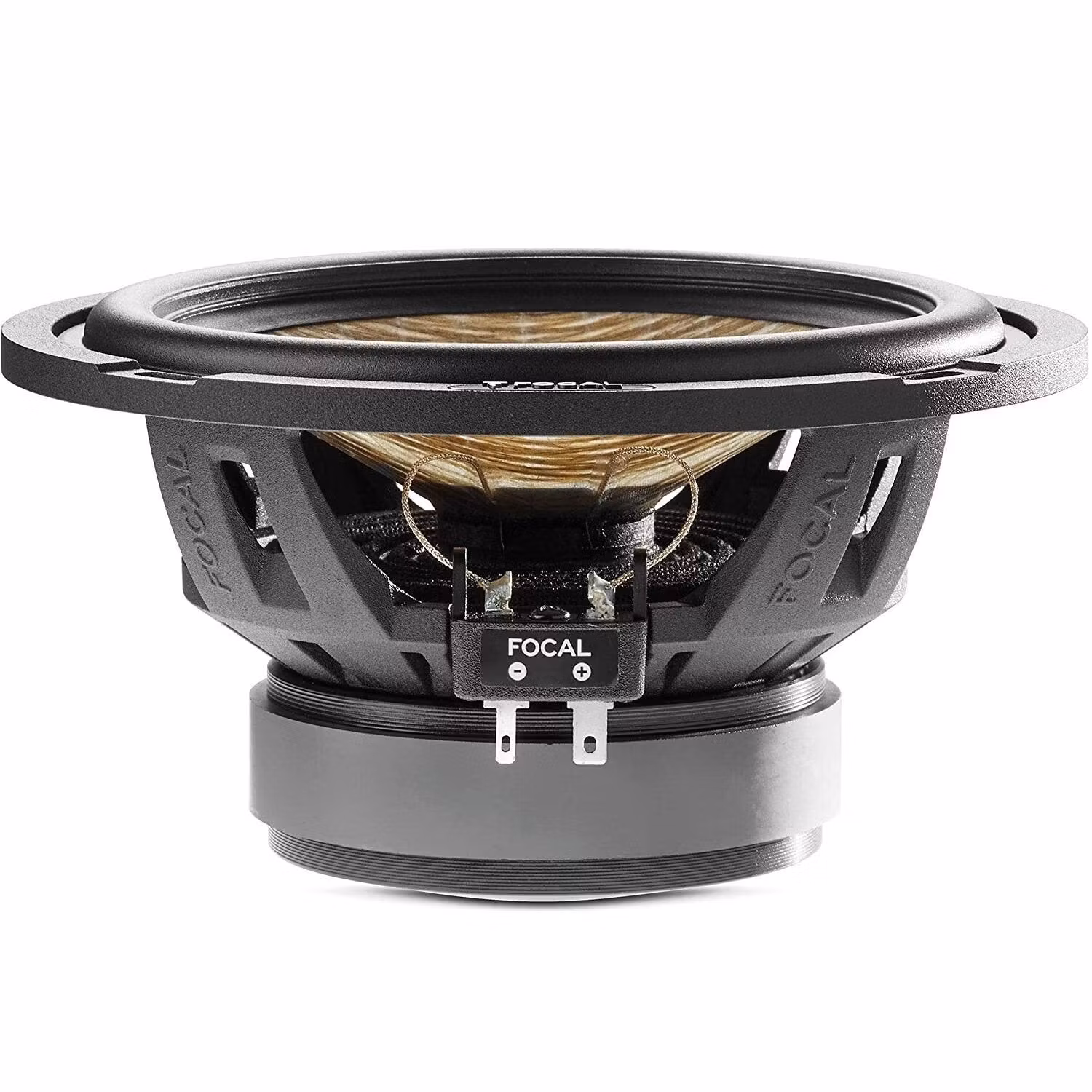 Focal PS165F3E