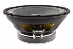 Massive Audio M10