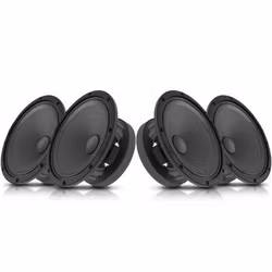 Sylvester 8 - 4pack