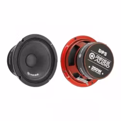 Reiss RS-DP5