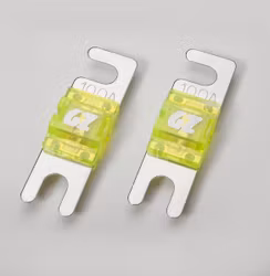 Mini ANL Fuse 100A 2 Pcs in blister