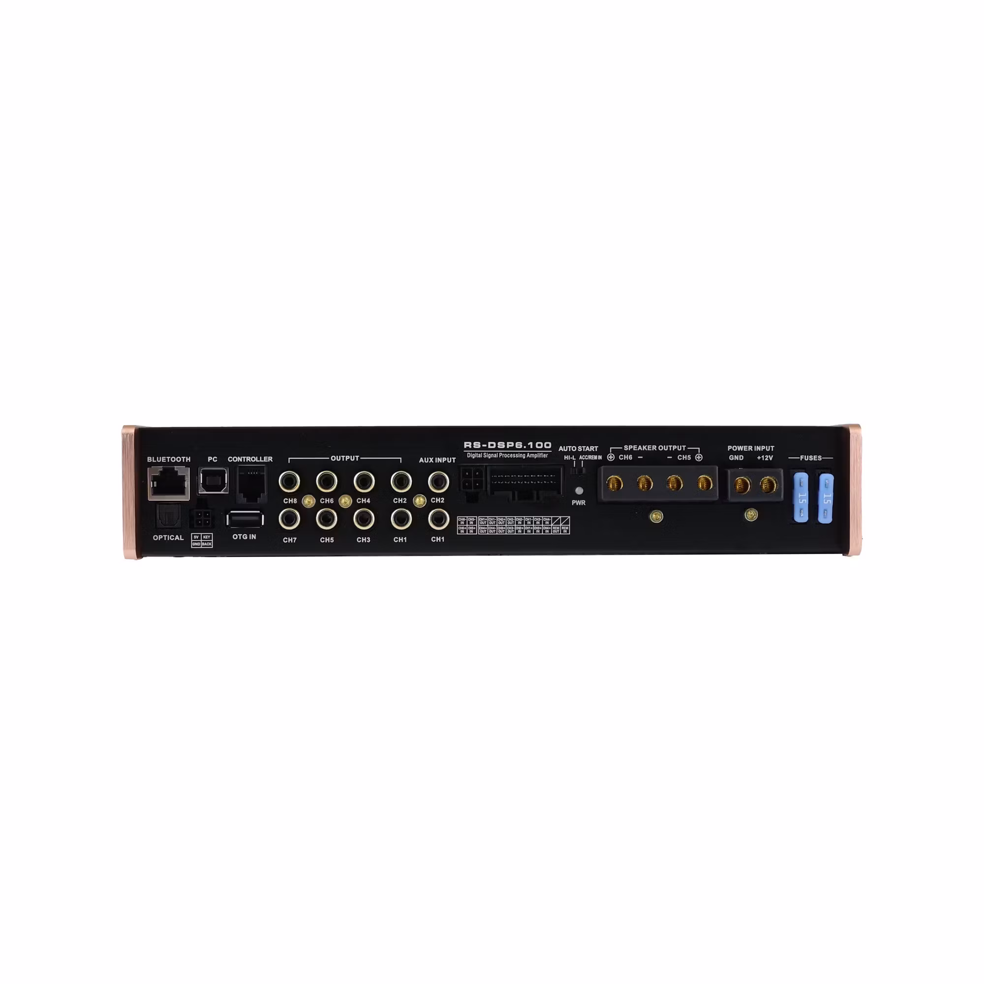 Reiss RS-DSP6.100