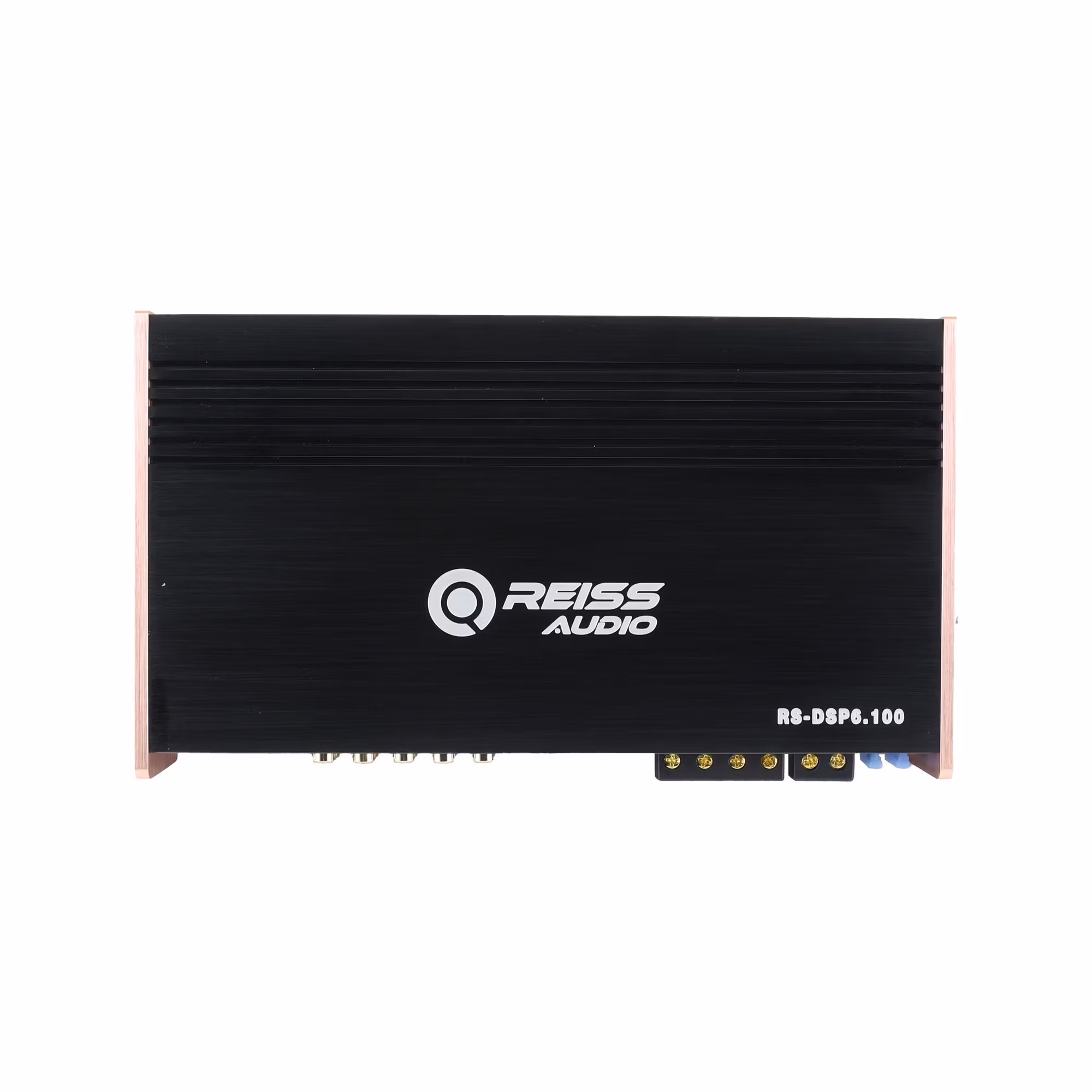Reiss RS-DSP6.100