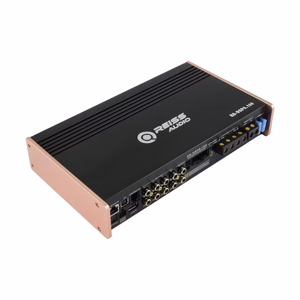 Reiss RS-DSP6.100
