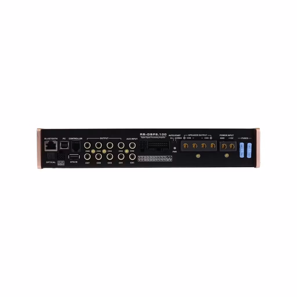 Reiss RS-DSP6.100