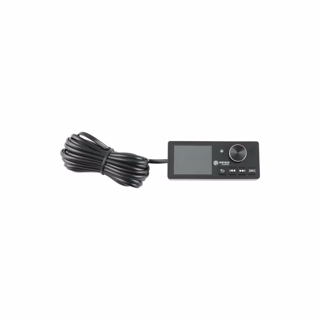 Reiss RS-DSP6.100