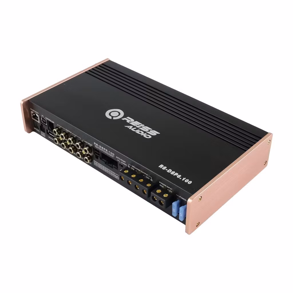 Reiss RS-DSP6.100
