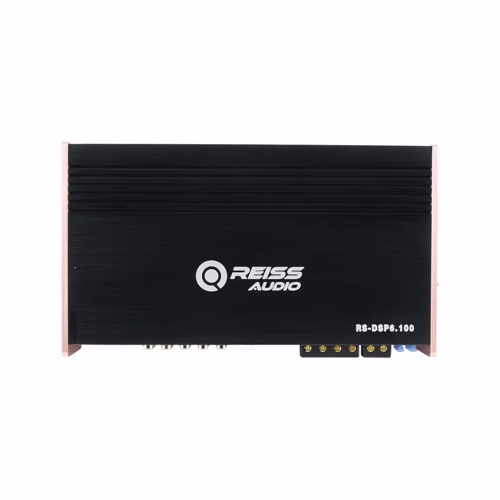 Reiss RS-DSP6.100