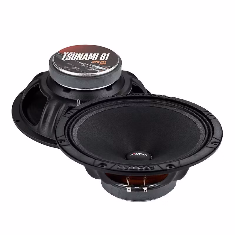 AVATAR Tsunami 81