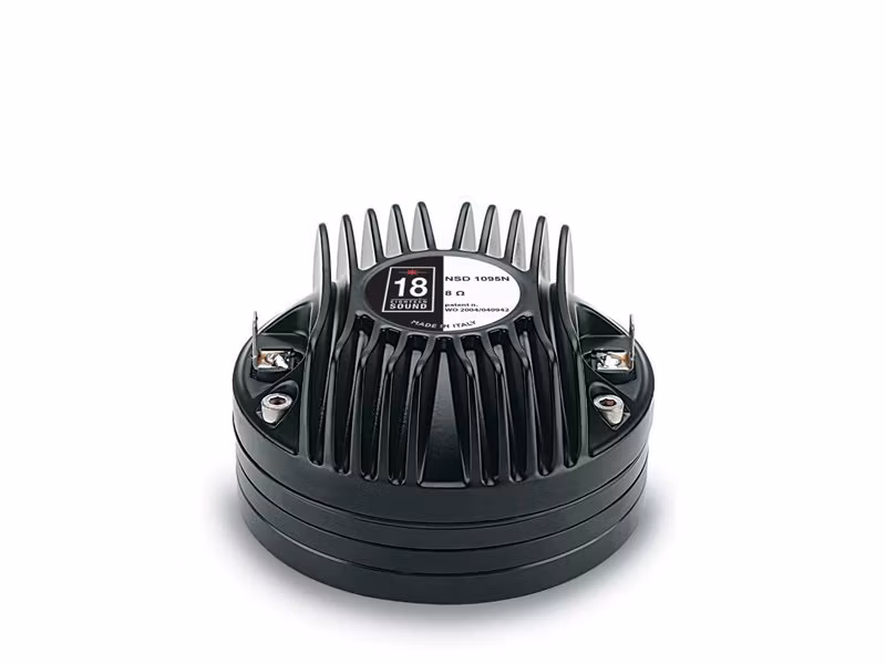 Eighteen Sound NSD1095N – 8 Ω