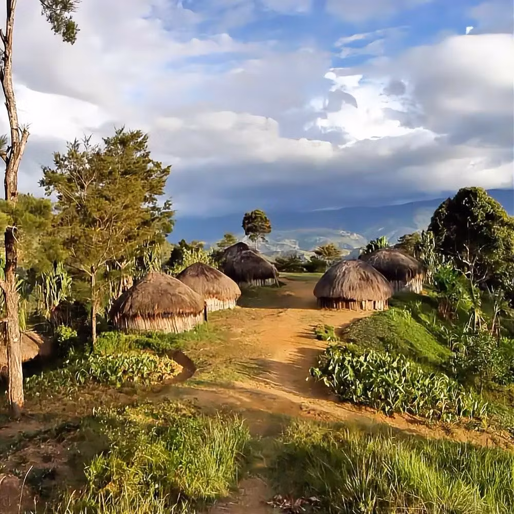 Kaffe från Laos – Historia, Bolaven-platån & Specialkaffe | Hälla Kafferosteri