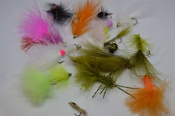 Fiskeshopens 10 Regnbågsflugor