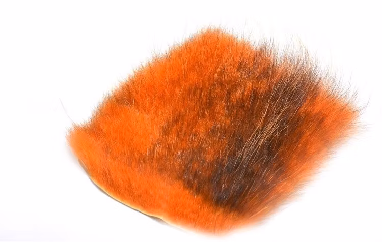 Future Fly - American Opossum