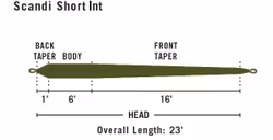Rio Scandi Body Intermediate