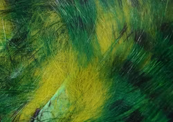 Tiger Barred Rabbit strips