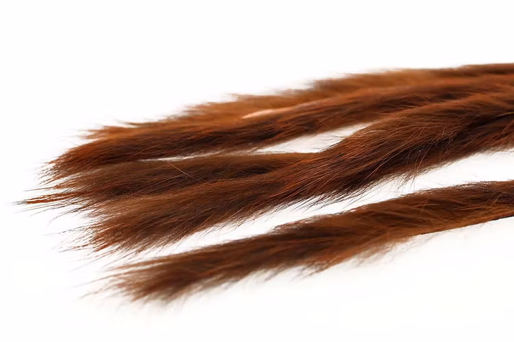 Kanin zonker S-cut 3mm