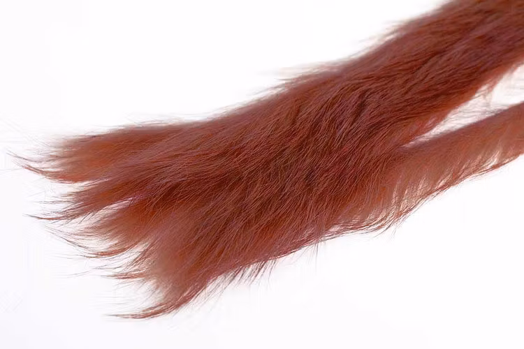 Kanin zonker S-cut 3mm