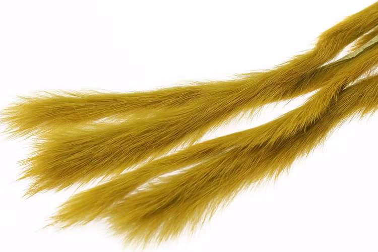 Kanin zonker S-cut 3mm